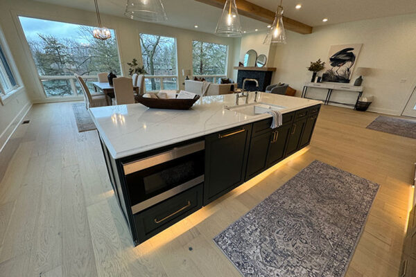 Cabinet Kitchen Remodeling